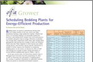 Scheduling bedding plants for energy-efficient production