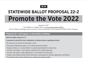 Statewide Ballot Proposal 22-2: Promote the Vote 2022