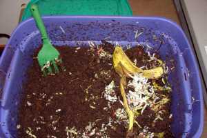 Worm Composting Or Vermicomposting Mainsite Title