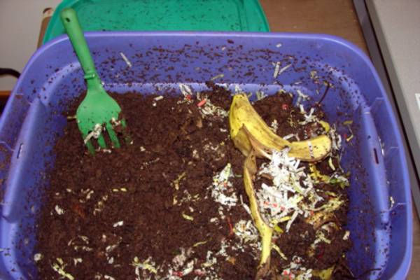 Worm composting or vermicomposting - Gardening in Michigan