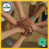 Michigan 4-H raises over $8K on Giving Tuesday