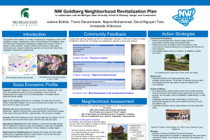 N W GOLDBERG  Neighborhood Revitalization Plan Report Executive Summary and Poster