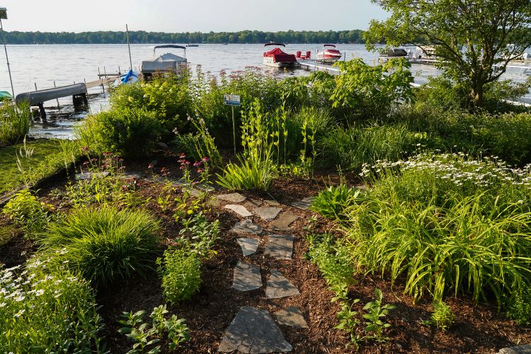 Flowers and plants next to a lake shoreline.