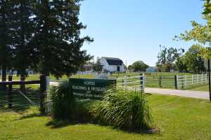 Horse Teaching & Research Center