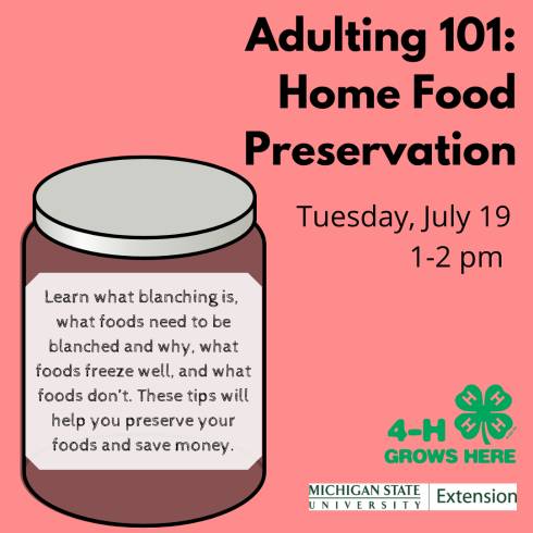MSU Extension Logo with program title: Adulting 101 Home Food Preservation. Graphic includes a mason jar with program description on the label that reads 