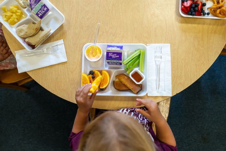 Children sit together to enjoy a school lunch