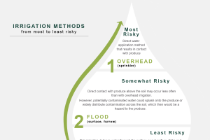 Irrigation Methods Infographic