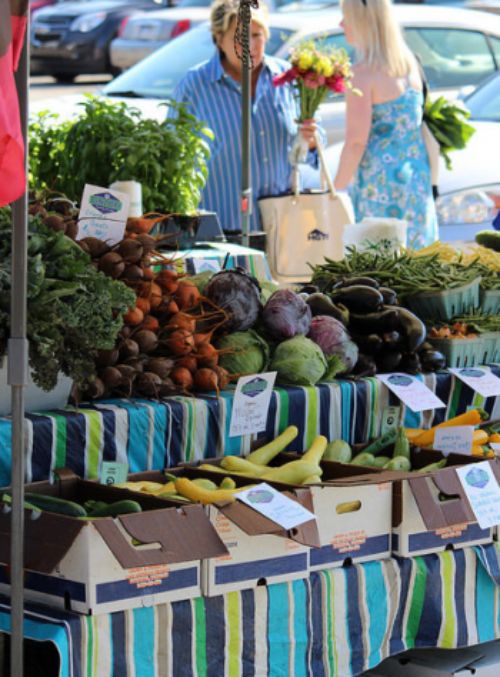 sign-the-bristol-good-food-charter-bristol-food-policy-council