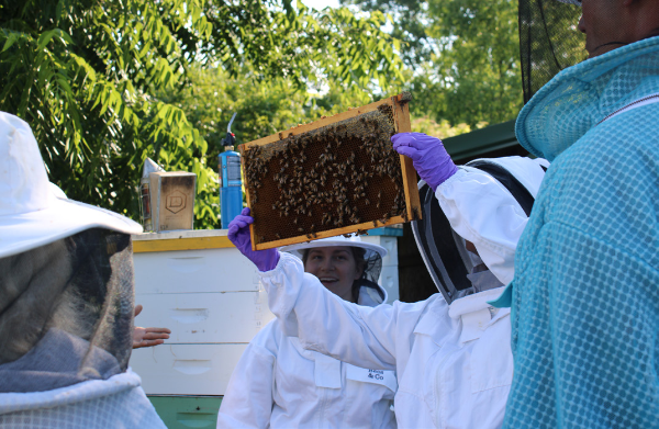 PLAN BEE: What the master beekeeper program is all about, News