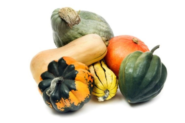 Various kinds of winter squash.