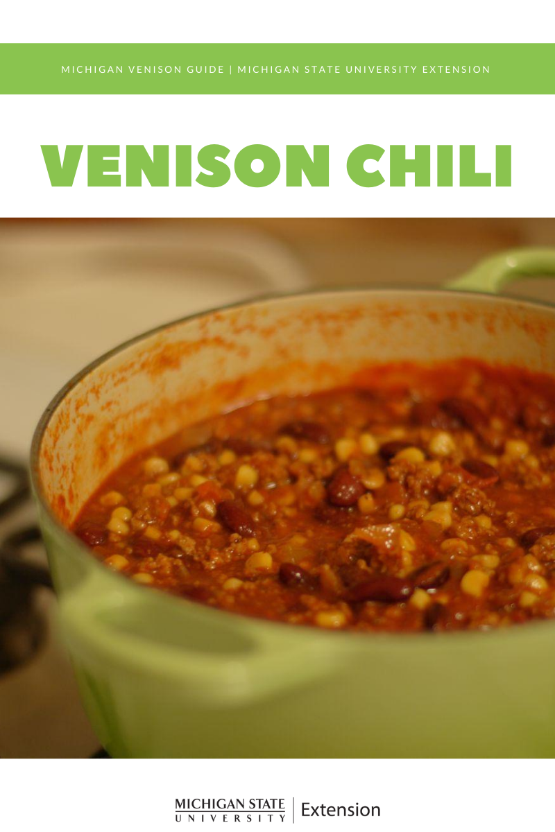 Image of the Venison Chili
