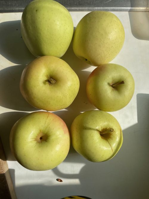 Golden Delicious apples