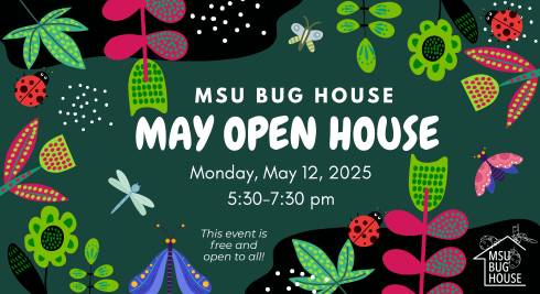 Colorful abstract decorative bugs and plants surround text that reads 
