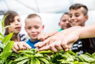 2024-25 Michigan 4-H Foundation mini grant recipients announced