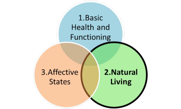 Three Circles Model of Animal Welfare, adapted from Appleby, Lund, and Fraser and colleagues.