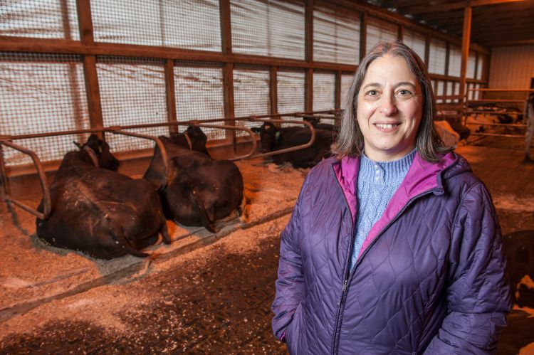 Lorraine Sordillo, MSU AgBioResearch animal scientist