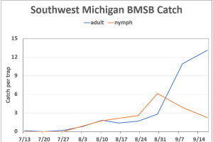 Southwest Michigan apple maturity report – Sept. 22, 2021