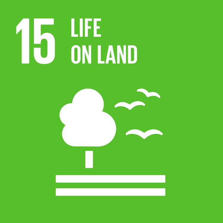 Photo by globalgoals.org