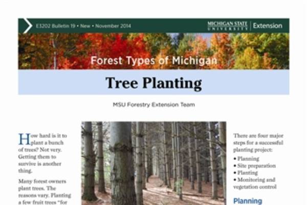 Forest Types of Michigan: Tree Planting - MSU Extension