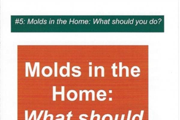 Moldy food – what should I do? - MSU Extension