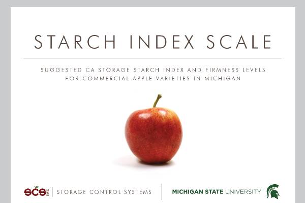 Apple scale 2024
