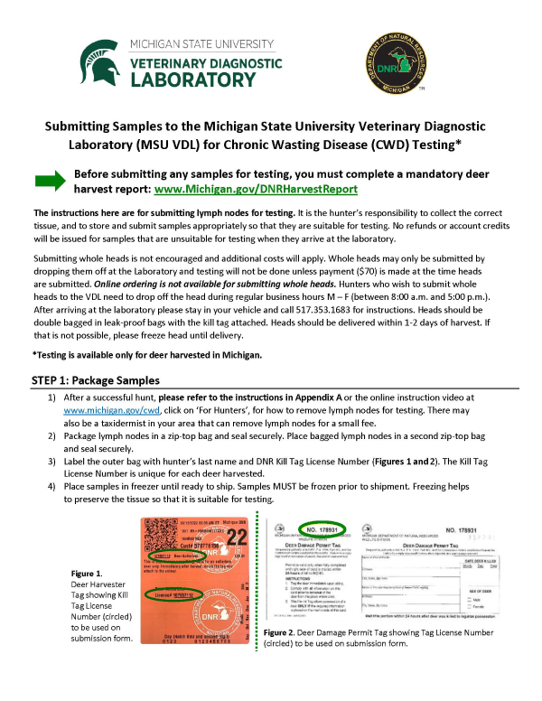 First page of the Michigan State University Veterinary Diagnostic Laboratory Submission Instructions.