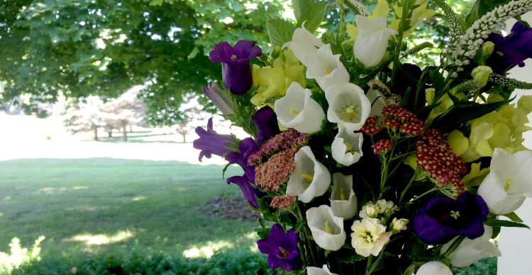 An arrangement of cut flowers.