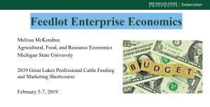 Feedlot Enterprise Economics
