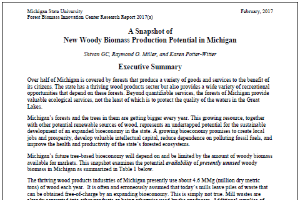 Snapshot of new woody biomass production potential in Michigan