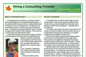 Business,Finance,Marketing,Management,Consulting,Careers Development