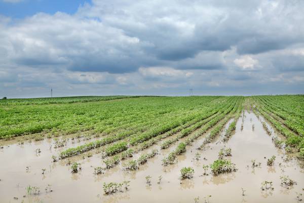 Agriculture - Severe Weather & Flooding