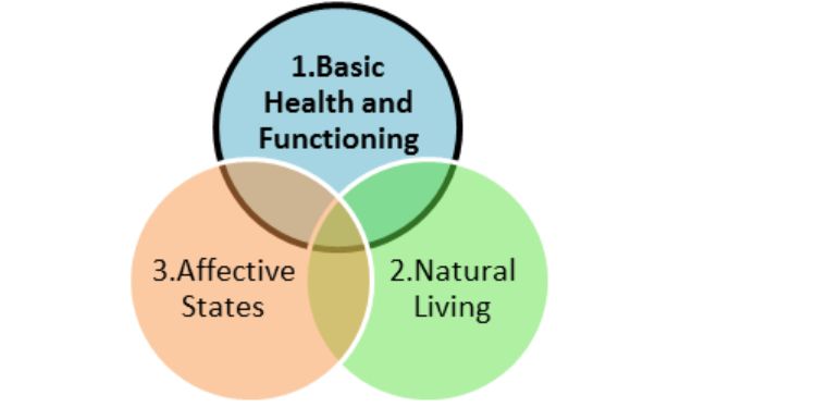 Three Circles Model of Animal Welfare, adapted from Appleby, Lund, and Fraser and colleagues.