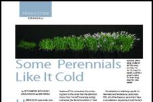 Some perennials like it cold (Vernalization part 1)