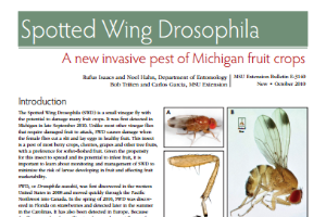 Spotted Wing Drosophila: A New Invasive Pest of Michigan Fruit Crops (E3140)