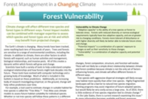 Forest Vulnerability (E3222)