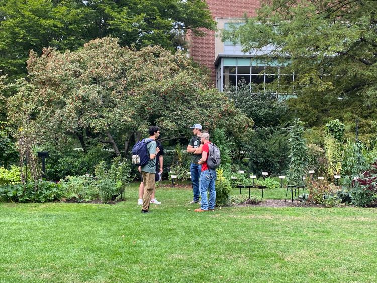 Students talk to each other while standing in a garden.