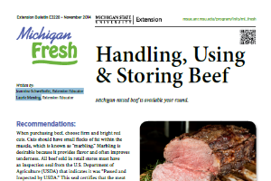Handling, Using, and Storing Beef (E3228)