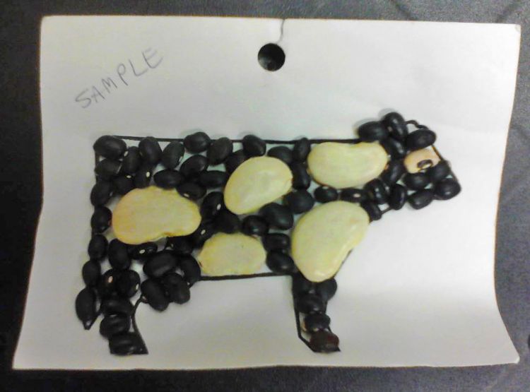 Example mosaic from the Feed Critters Animal Science Anywhere lesson. Photo by Deb Barrett, MSU Extension.