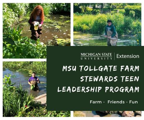 This graphic includes photos of teens pond dipping in a pond with a bucket, net, and other tools.