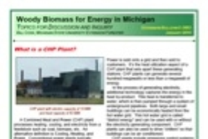 Woody Biomass for Energy in Michigan: What is a CHP Plant? (E3093)