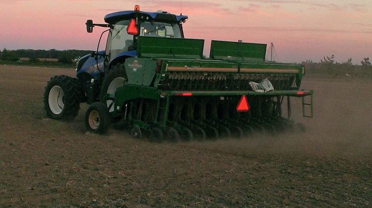 Planting winter wheat