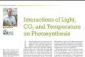 Interactions of light, CO2, and temperature on photosynthesis
