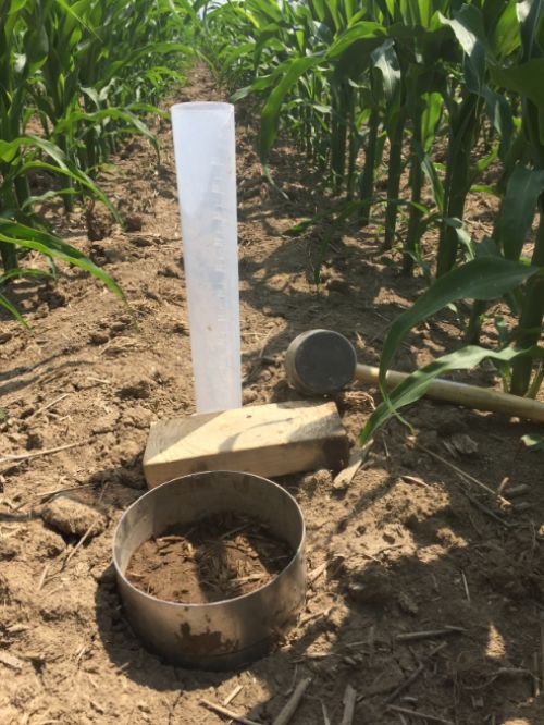 Tools to test for soil infiltration rate | Photo by Christina Curell