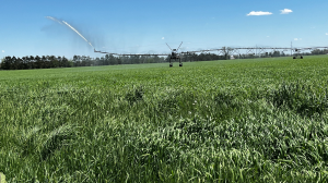 Southwest Michigan field crops update – May 19, 2022