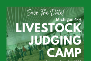 MI 4-H Livestock Judging Camp