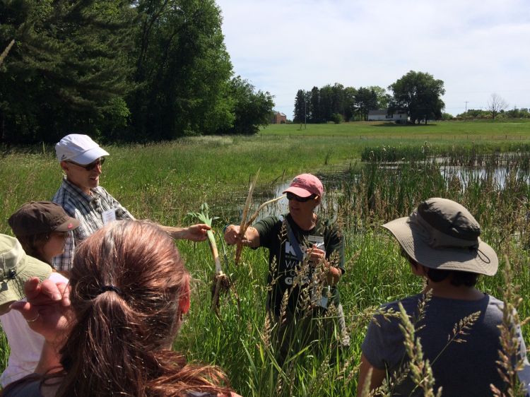 Group standing in marsh holding two plants.