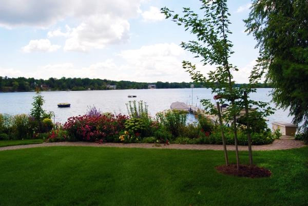 Smart Trees And Shrubs For Natural Shoreline Plantings Msu