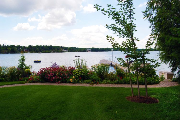 Example of well-planned shoreline landscape. Photo credit: Mary Wilson, MSU Extension