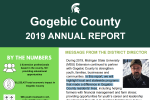 Gogebic County 2019 Annual Report