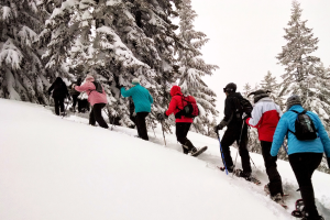 Explore winter on snowshoes
